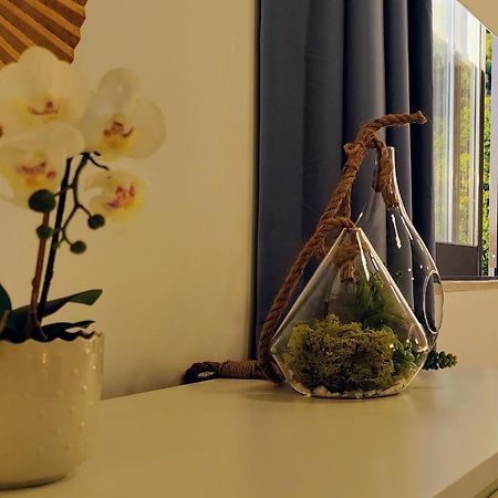Stylish And Elegant Studio - Best View And Location In Coimbra Downton Екстер'єр фото